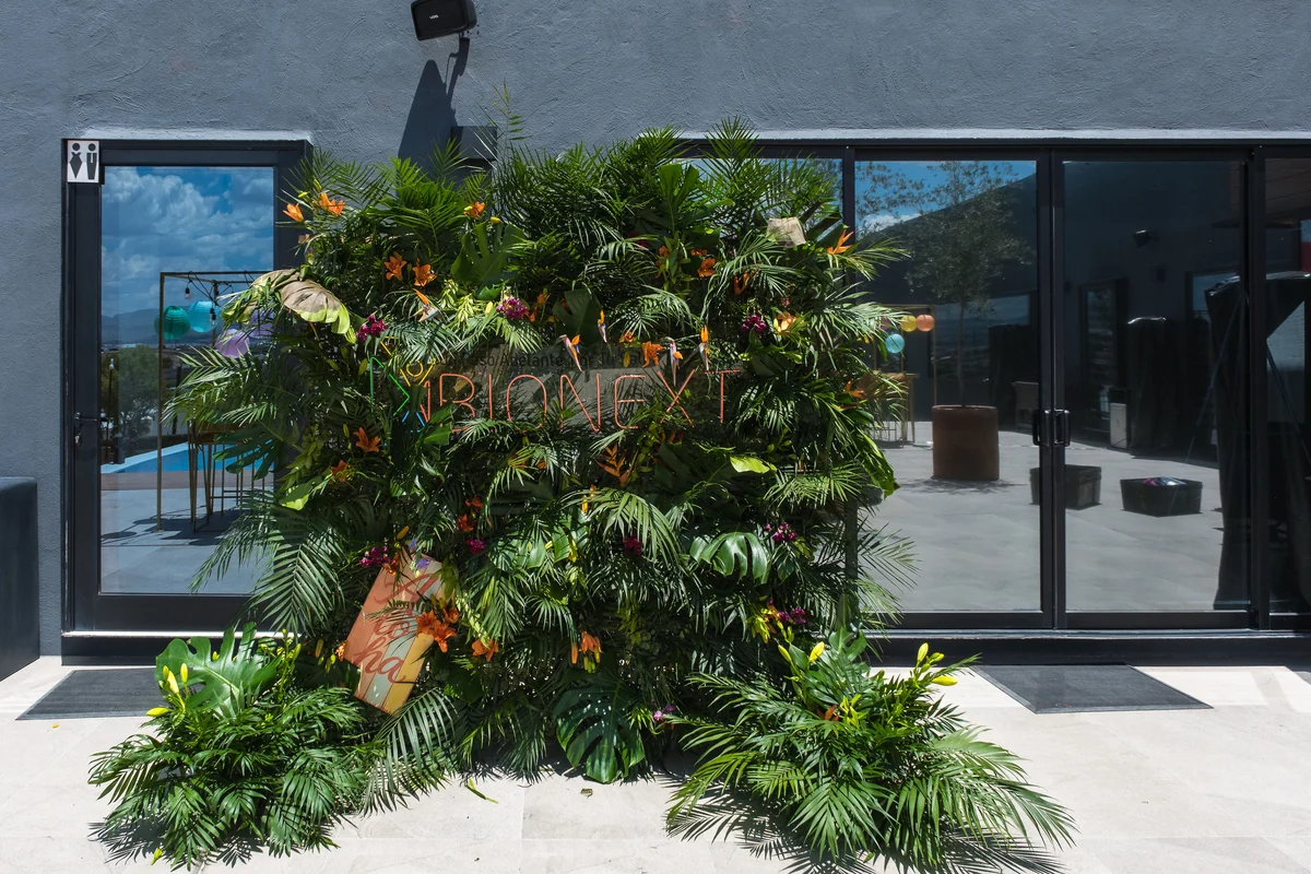 Muro verde decorativo a la entrada del salón de Casa Martínez